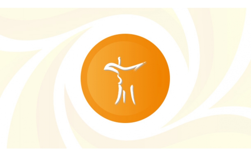 白酒及黄酒展区（传统酒类）